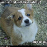 The hotdog stare.
