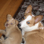 Buddy Cam!  Katie and Brody