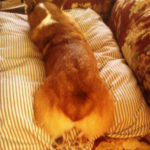 This Friday:  Butts on the Blog!