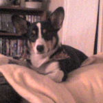 In Memoriam:  Samson