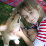 Corgi kisses are the best.