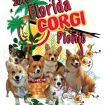 2010 Florida Corgi Picnic!
