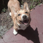 Smile Cam:  Topher!