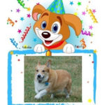 Happy Birthday, Jack!