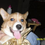 Buster