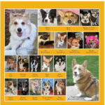 2011 Daily Corgi Calendar Preview — March!
