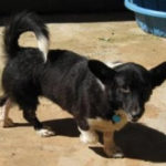 Kelsey in Georgia looking for a home!