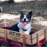 Saturday Smiler:  Kip!