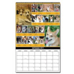 Calendar sales generate nearly $440 for CorgiAid!