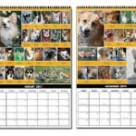Calendar sales generate $550+ for CorgiAid!