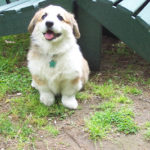 Cubby