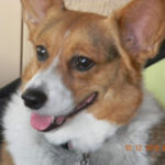 Saturday Smiler:  Lily!