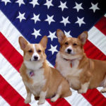 Happy Veteran’s Day