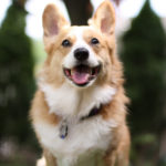 Milo