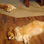 Abby & Molly