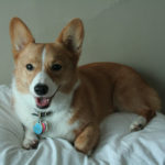 Mr. Pistol Winston