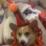 Happy Thanksgiving!
