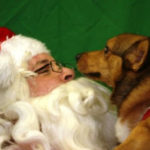 I saw Barney kissing Santa Claus!