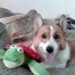 Buddy of Florida