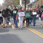 Corgi Corps in the Middleburg XMAS Parade!