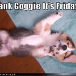 TGIF!