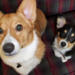 Show us the noms, Mom!