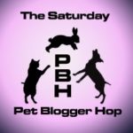 Video Biscuit:  To Corgis With Love
