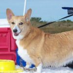 Kayleigh of Florida