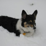 Snow Cam:  Max!