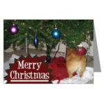 A Perfectly Pantaloony Pem Christmas!