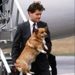 Now THAT’s the royal treatment.
