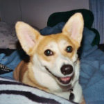 Starlett of New York