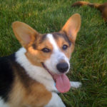 Baxter of Pennsylvania