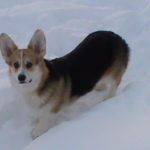 Snow Patrol:  Bryn of Pennsylvania!