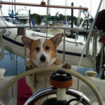 Cap’n Cam!