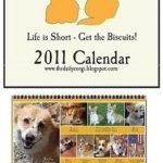 The Daily Corgi 2011 Calendar is now 40% off!