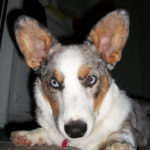 Finbar of California
