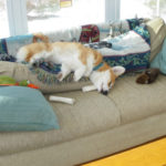 The vacation AFTER the vacation …