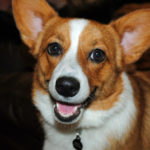 Saturday Smiler:  Molly!