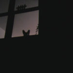 Watcher in the night:  Corabelle!