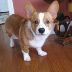 Oliver of Georgia