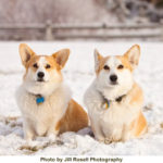 Haagen and Petey:  Fame’s our game!