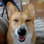 Smile Cam:  Sammie Sam!
