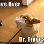 Paging Doctor Tinylegs!
