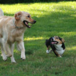 Smile Cam:  Winnie & Co.!