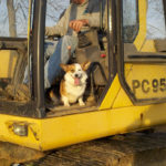 Saturday Smiler:  Roxy!