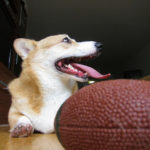 Football mania … surely there’ll be awesone NOMS today!