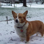 Snow happy:  Brandi!