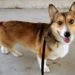 In Memoriam:  Ein