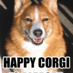 Hap-hap-happy!